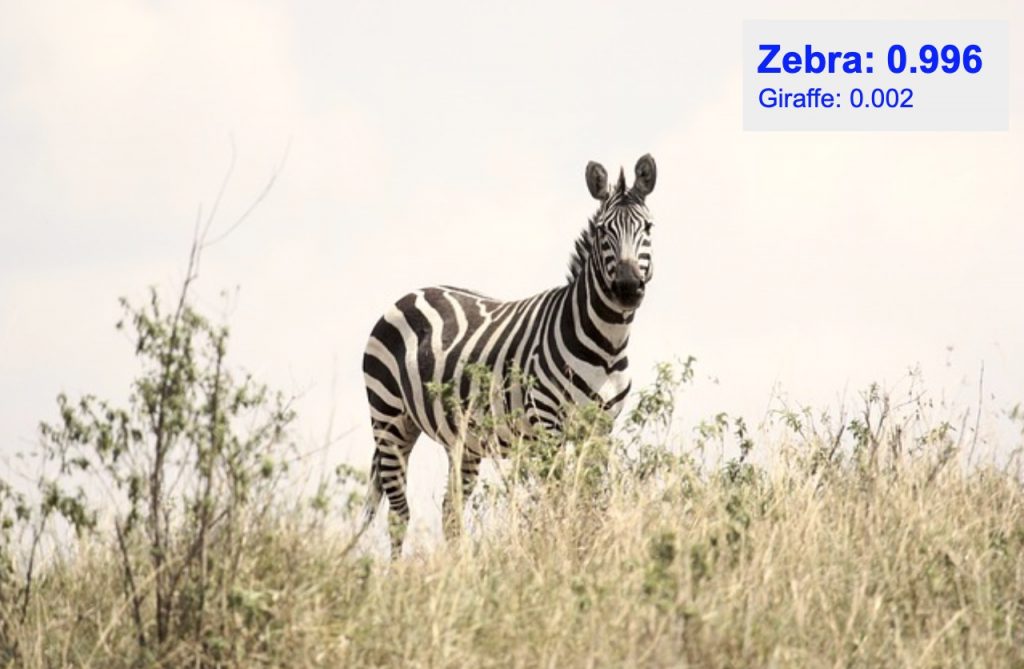 دقت تشخیص کلاس zebra