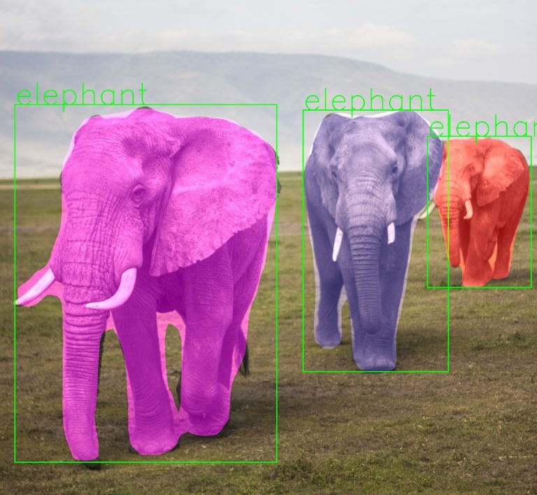 ناحیه بندی فیل ها در تصویر با Mask RCNN