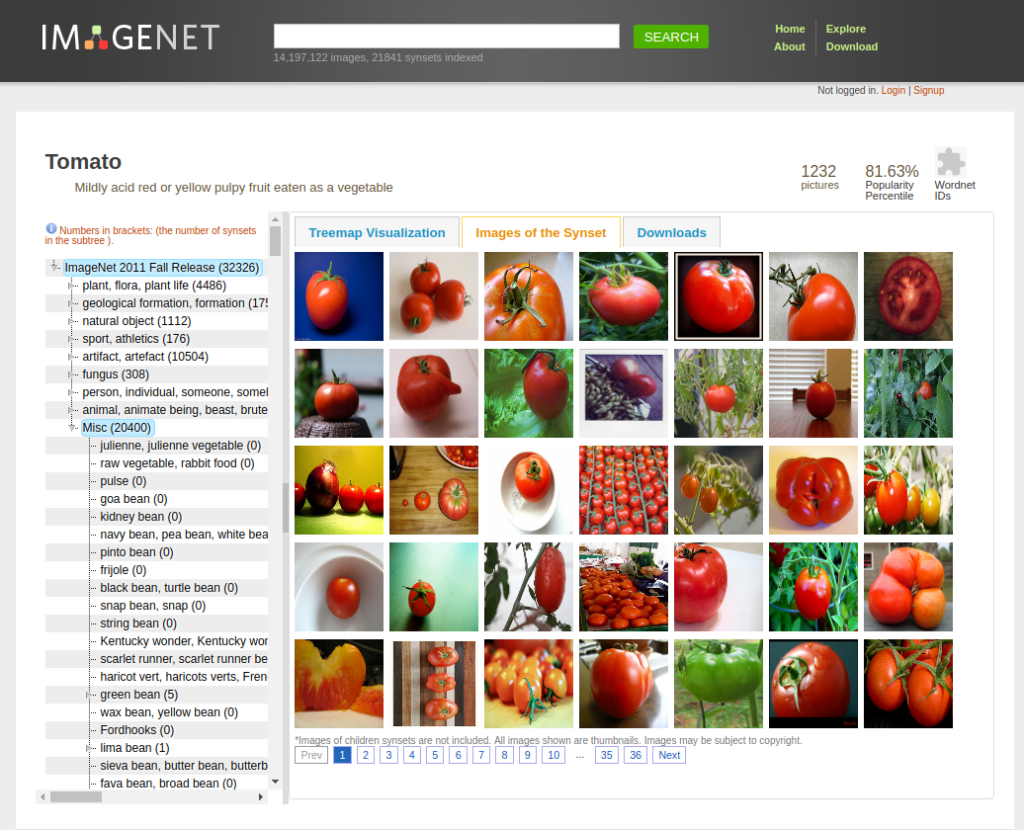 تصاویر گوجه فرنگی در ImageNet