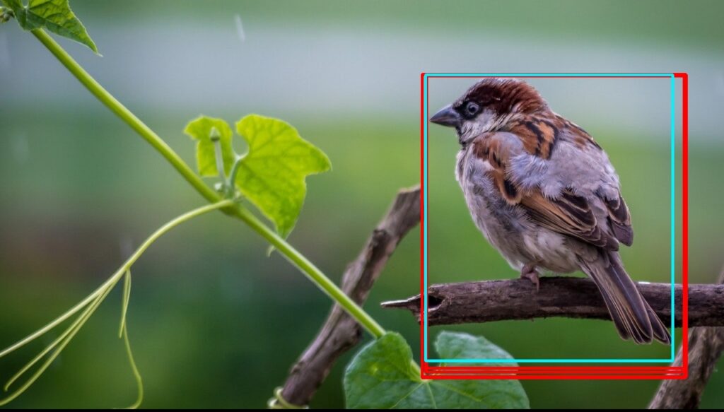 تشخیص اشیا با استفاده از YOLOv5 و OpenCV DNN در ++C و Python 6 حذف کادر های محصور کننده همپوشان